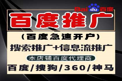 案例展示：SEM账户托管服务成果